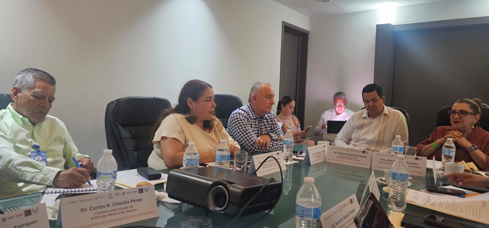 Reunión Región Sur 4
