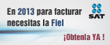 Firma Electr&oacute;nica Avanzada